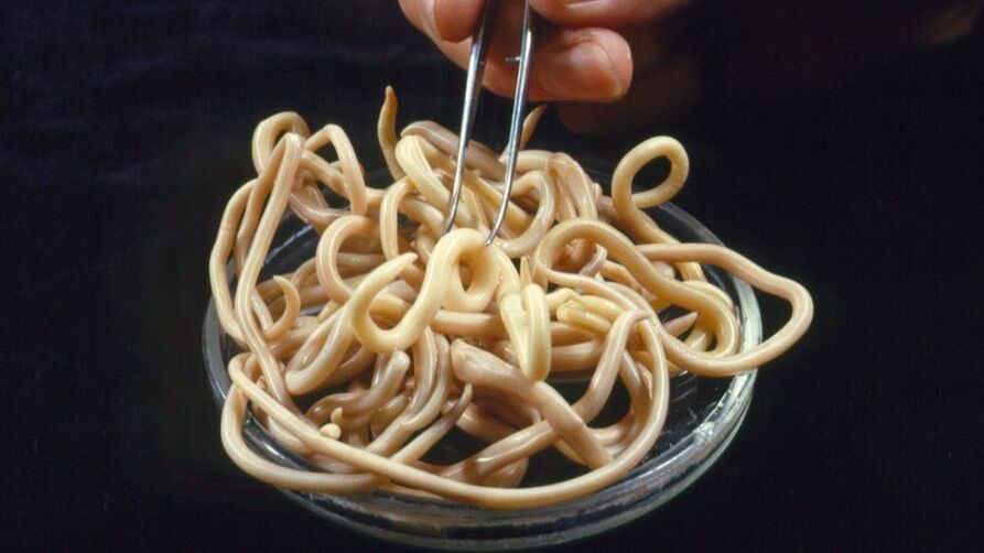 pasożyty z organizmu człowieka